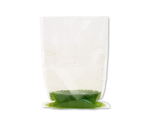 Sterile Blender Bags With Full Nylon Filter for Laboratory Paddle Blender, 400mL x 70um, 500/PK