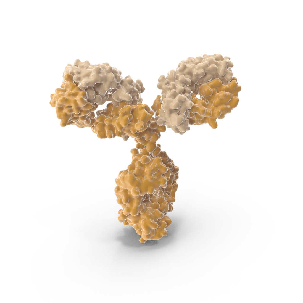 Alpha Synuclein Antibody (Aggregate-Specific)