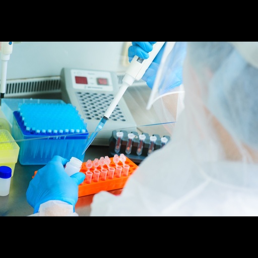 [LY-12196ES24] Hieff NGS® Ultima Pro PCR Free DNA Library Prep Kit V2-24T